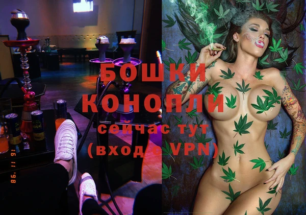 стафф Аркадак