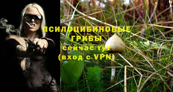 стафф Аркадак