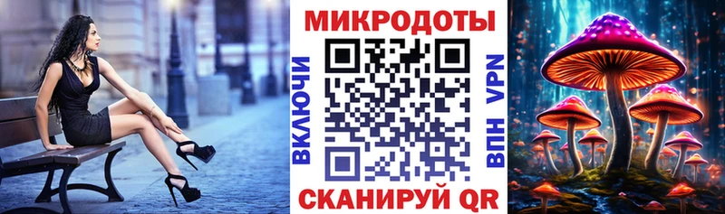 Галлюциногенные грибы Psilocybine cubensis  Волгодонск 